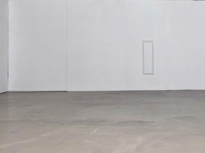 studio fond vert la vache noire